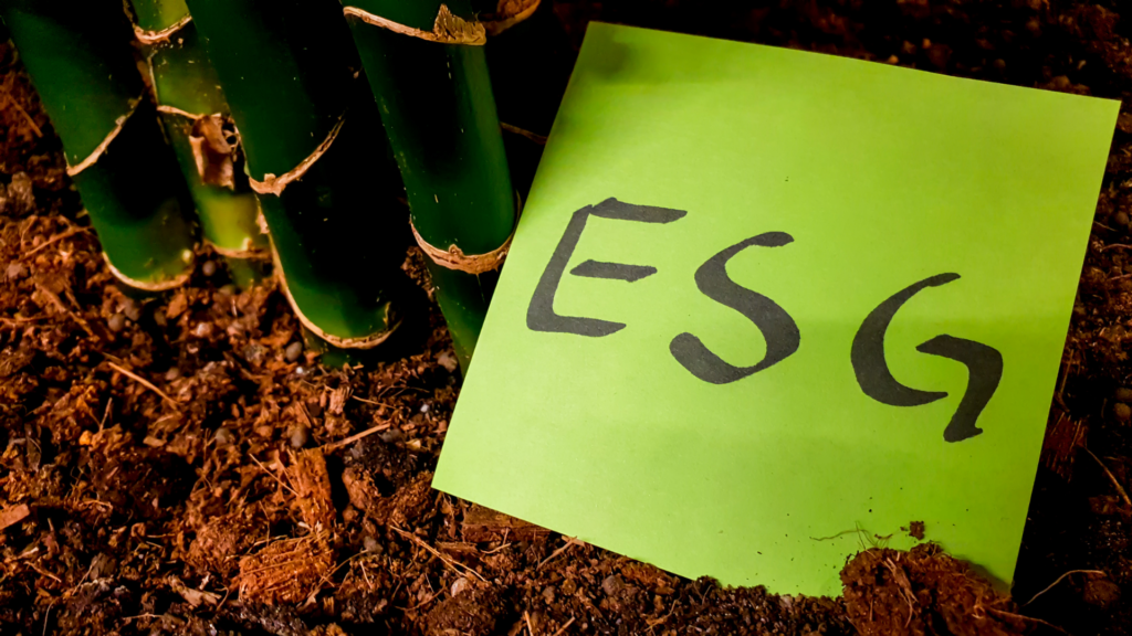 ESG - Responsabilidade Socioambiental nas Organizações