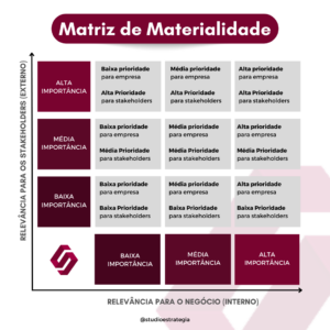 Matriz de Materialidade - Modelo